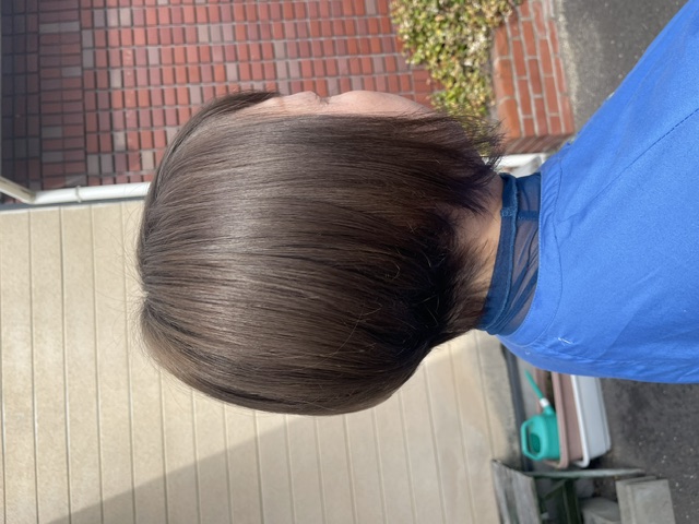 sample