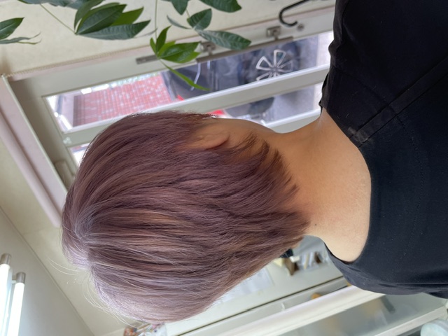 sample